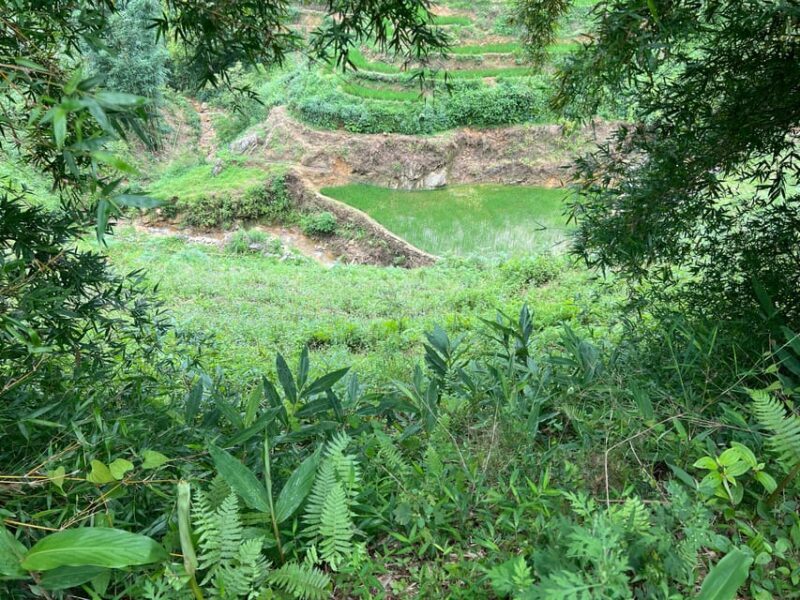 AUTHENIC 2D1N Trek & Bungalow Retreat with Dinh Hmong Family - Final Thoughts: Who Will Love This Tour?