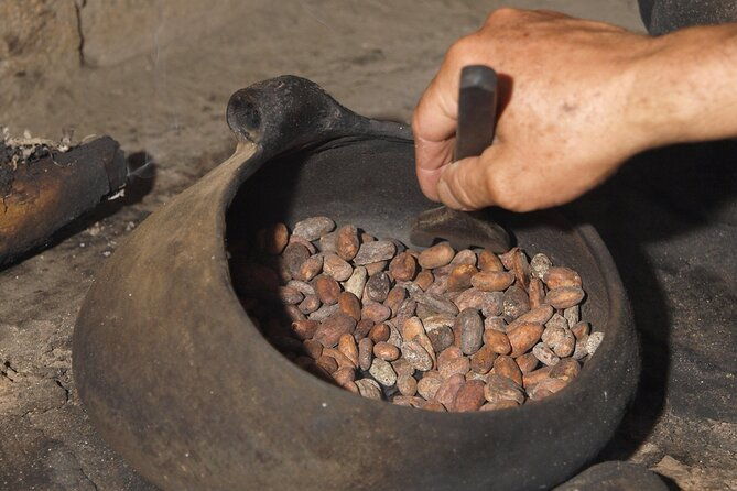 authentic-2-day-cacao-tour-in-cusco-jungle-with-local-homestay