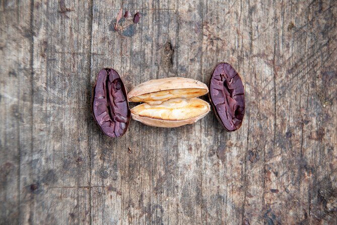 authentic-2-day-cacao-tour-in-cusco-jungle-with-local-homestay