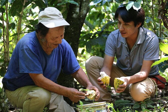 authentic-2-day-cacao-tour-in-cusco-jungle-with-local-homestay