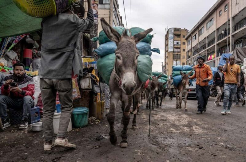 Authentic Addis Ababa City Tour with a Local Guide - Authentic Experiences That Make It Special