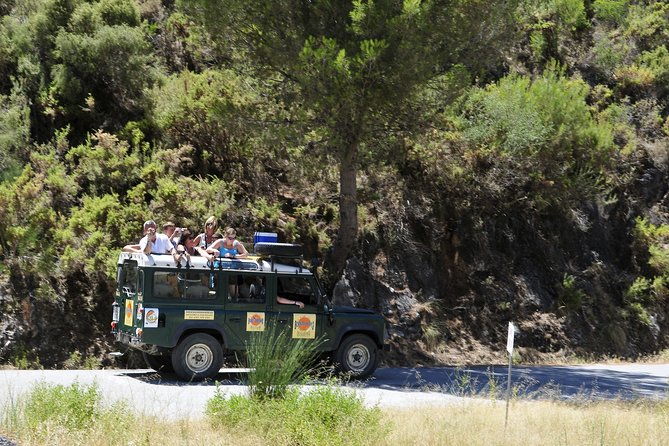 authentic-andalusia-jeep-eco-tour-pick-up-from-marbella-estepona