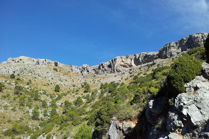 authentic-andalusia-jeep-eco-tour-pick-up-from-marbella-estepona