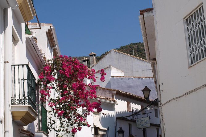 authentic-andalusia-jeep-eco-tour-pick-up-from-marbella-estepona