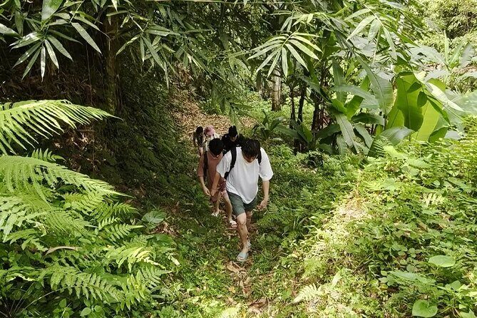 Authentic Bali Rural Trekking Adventure - Wandering Through Vibrant Rice Paddies