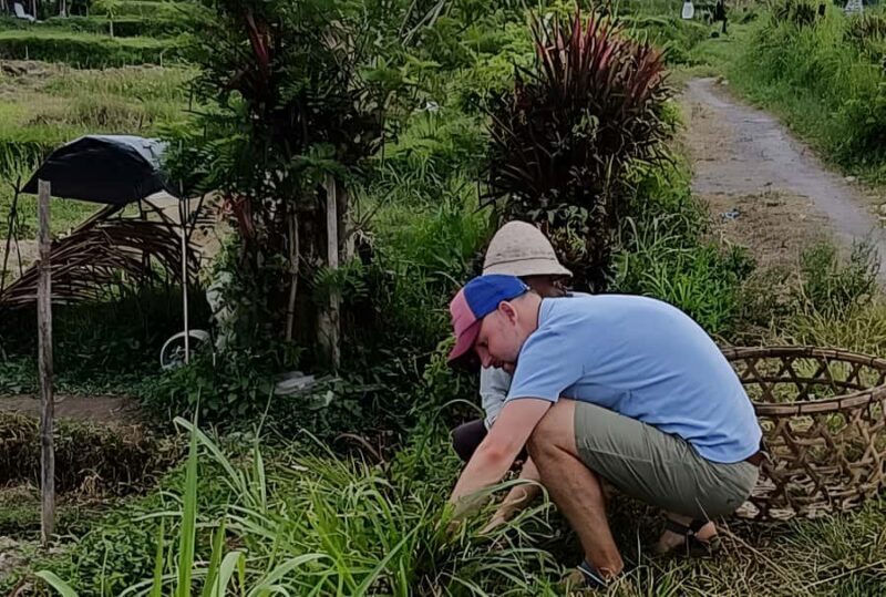 Authentic Balinese Local Life Experience in Pinge Village - Key Points