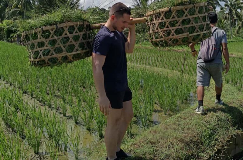 Authentic Balinese Local Life Experience in Pinge Village - Hands-On Cooking Class: Balinese Flavors in Action