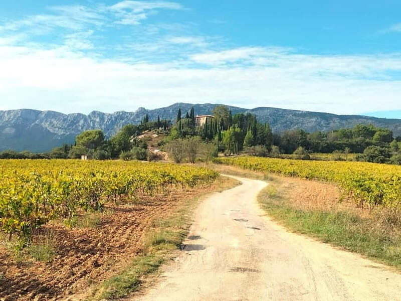 Authentic Countryside Wine Tour & Chic Aix-en-Provence - A peaceful glimpse into Provence’s countryside
