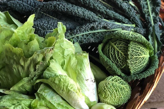 authentic-culinary-experience-in-a-tuscan-family-estate