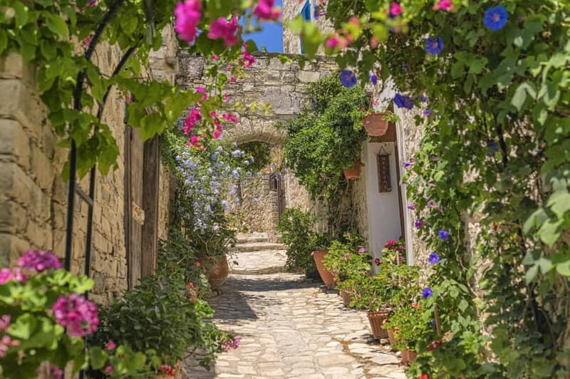 Authentic Cyprus with a Polish-speaking Guide - Olive Oil and Olive Farm Experience