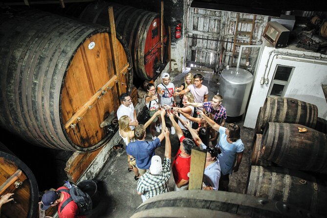authentic-douro-wine-tour-including-lunch-and-river-cruise