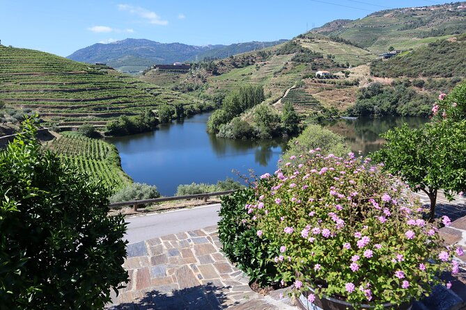 authentic-douro-wine-tour-including-lunch-and-river-cruise