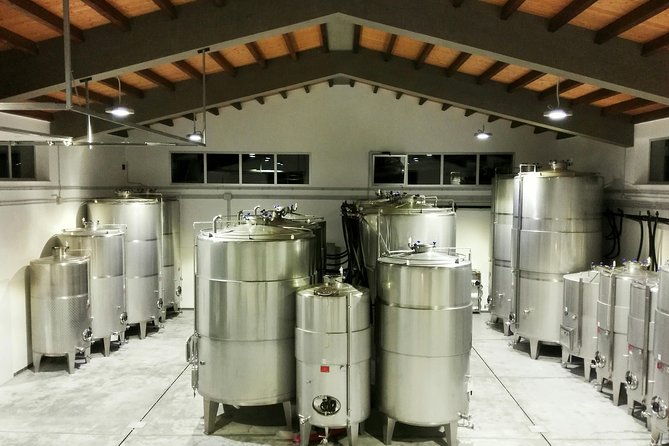 authentic-experience-in-organic-winery