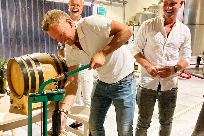 authentic-experience-in-organic-winery