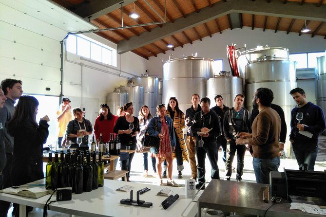 authentic-experience-in-organic-winery