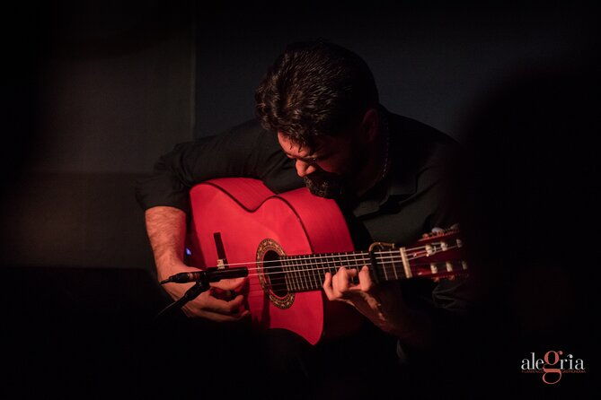 authentic-flamenco-show-joy-and-gastronomy-in-malaga