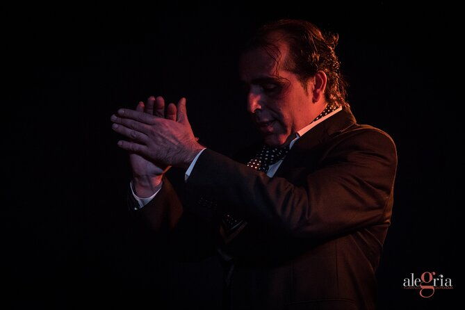 authentic-flamenco-show-joy-and-gastronomy-in-malaga
