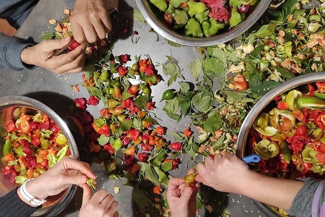 Authentic Garden to Table Cooking Class in Dubrovnik Countryside - Final Thoughts