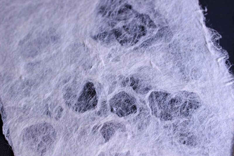 Authentic Handmade Washi Paper Making Workshop in Ueno - Exploring the Workshop Experience in Detail