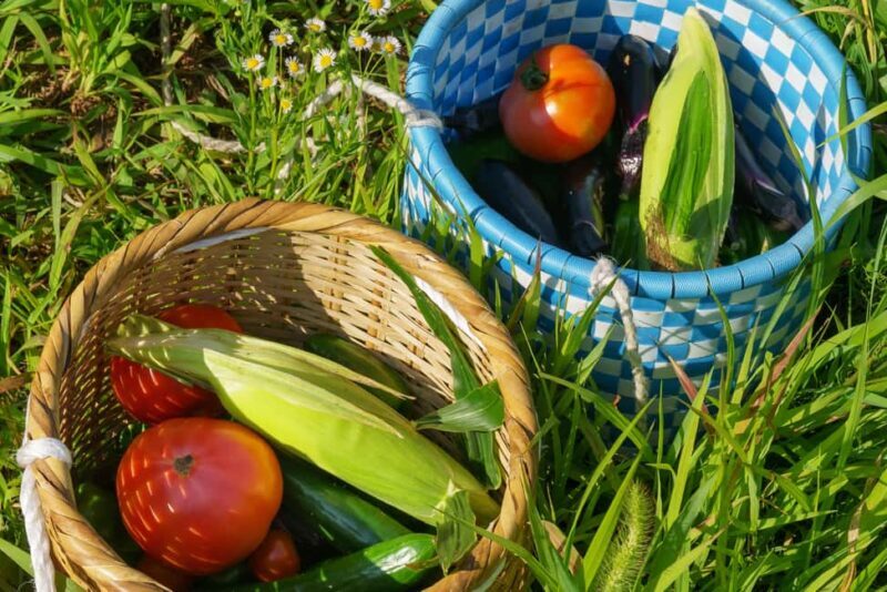 Authentic! Japanese Ramen Cooking Experience - Key Points