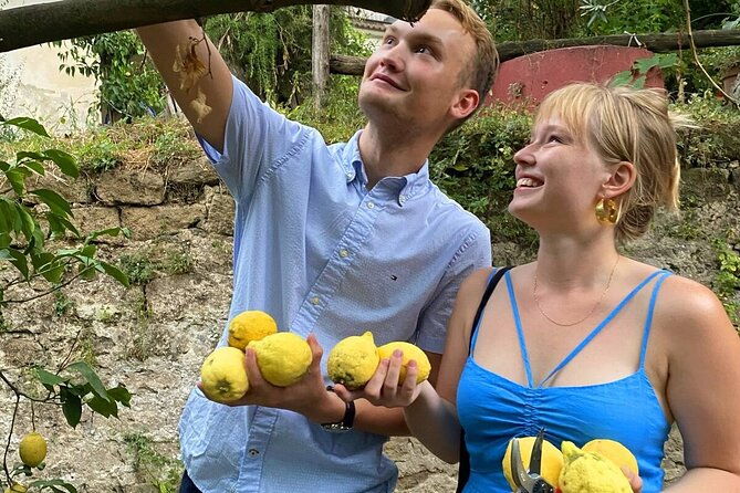 authentic-lemon-experience-at-a-local-farm-in-sorrento-with-tour