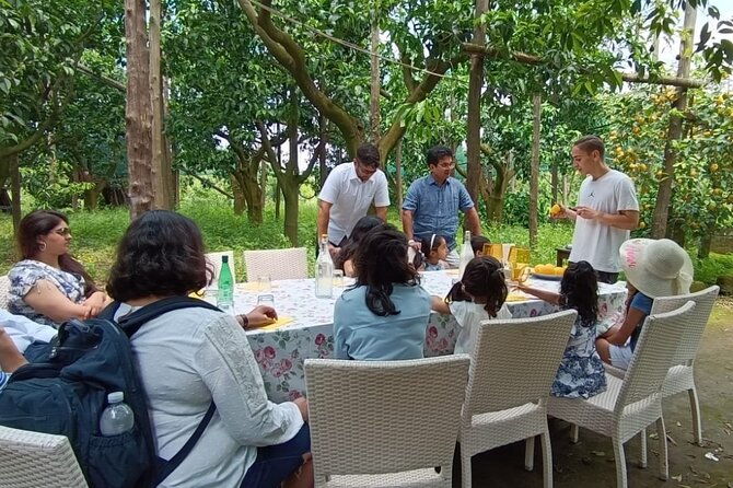 authentic-lemon-experience-at-a-local-farm-in-sorrento-with-tour