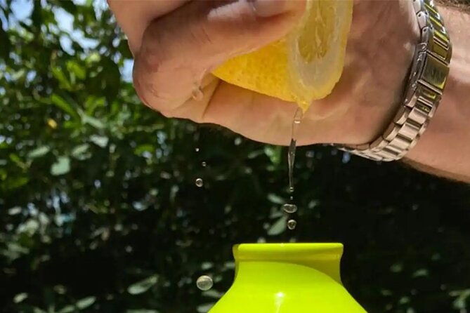 authentic-lemon-experience-at-a-local-farm-in-sorrento-with-tour