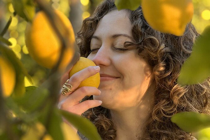 authentic-lemon-experience-at-a-local-farm-in-sorrento-with-tour