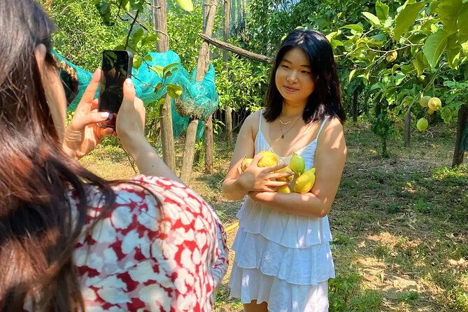 authentic-lemon-experience-at-a-local-farm-in-sorrento-with-tour