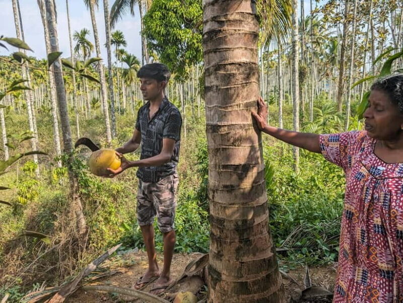 Authentic local vegetarian Kerala cooking class in Wayanad - What to Expect from the Kerala Cooking Class in Wayanad
