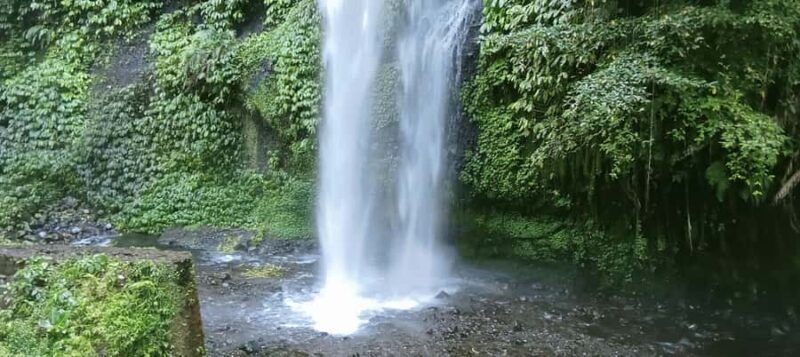 Authentic Lombok: Nature, Tradition & Historic Heritage - Rice Terraces of Bangket Bayan: A Green Paradise