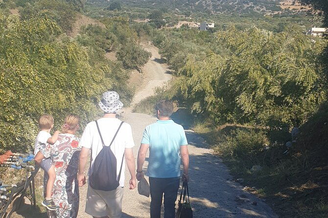 authentic-olive-oil-and-cultural-experience-in-crete