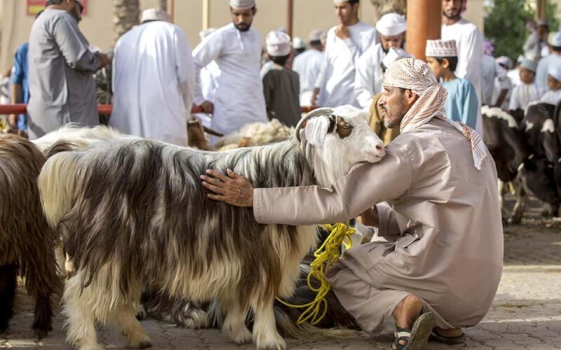 Authentic Oman: 4-Day Cultural Expedition from Muscat - Key Points