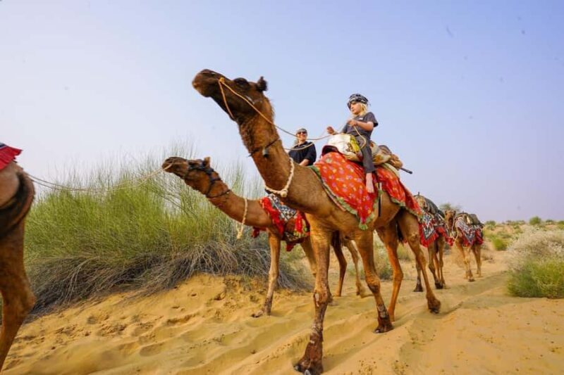 Authentic Overnight Camel Safari & Sleep Under the Stars - A Closer Look at the Itinerary