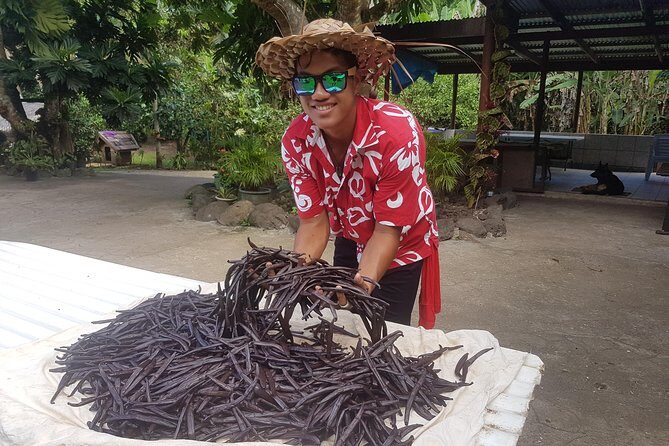 Authentic Polynesian Experience - Who Is This Tour Best For?
