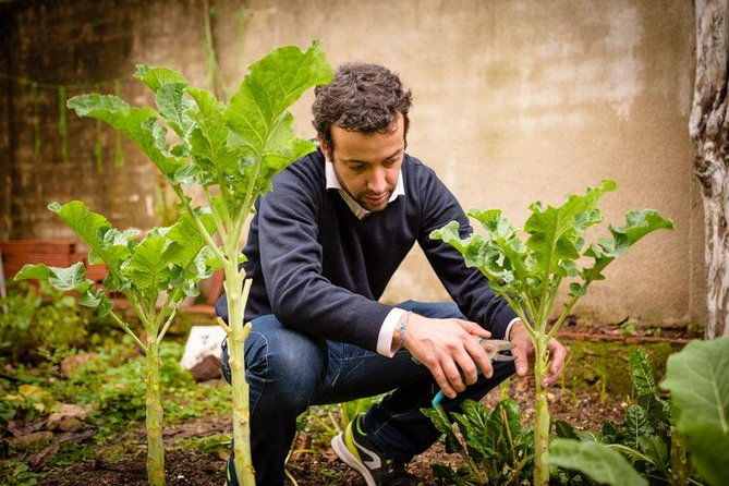 authentic-portuguese-cooking-class-and-dinner-in-a-lisbon-home