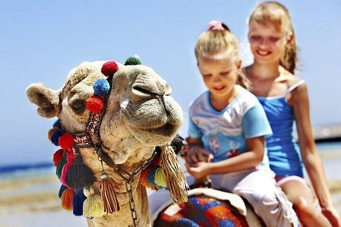 authentic-private-tangier-tour-from-seville-camel-ride-lunch