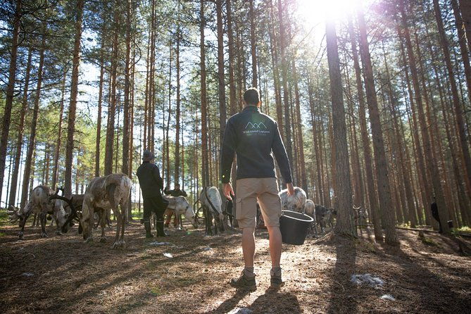 authentic-reindeer-farm-and-canoe-experience-from-rovaniemi