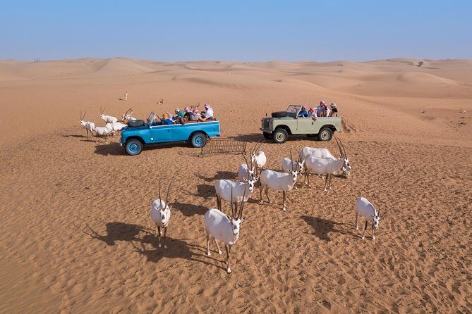 Authentic Safari in Vintage Land Rover with Traditional Dinner - FAQ