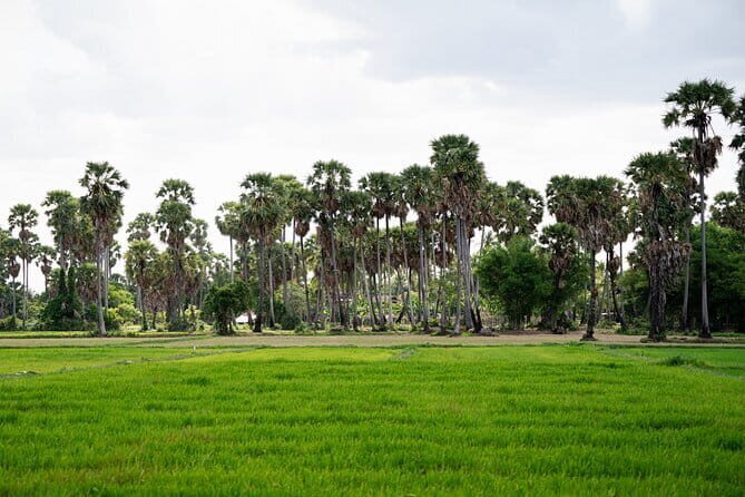 Authentic Siem Reap: Tuk Tuk Countryside and Sunset Tour - An In-Depth Look at the Experience