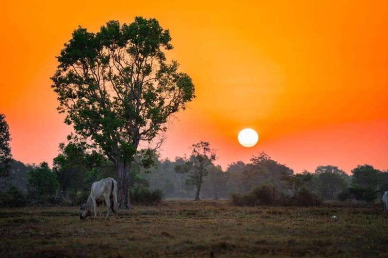 authentic-siem-reap-tuk-tuk-countryside-and-sunset-tour