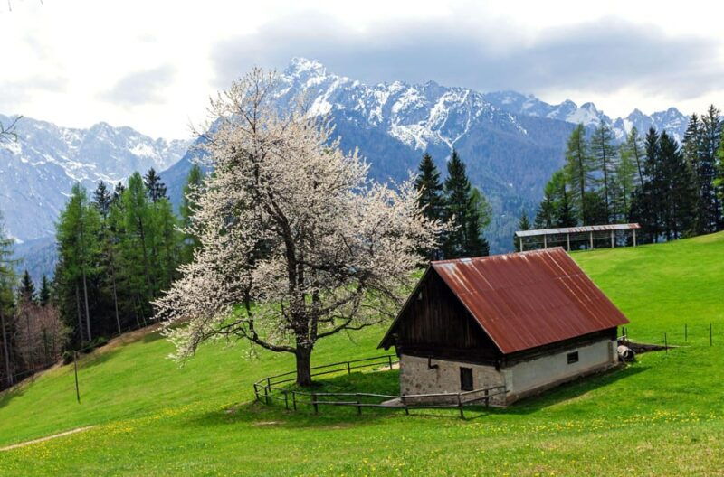 authentic-slovenia-a-mystery-travel-day-tour