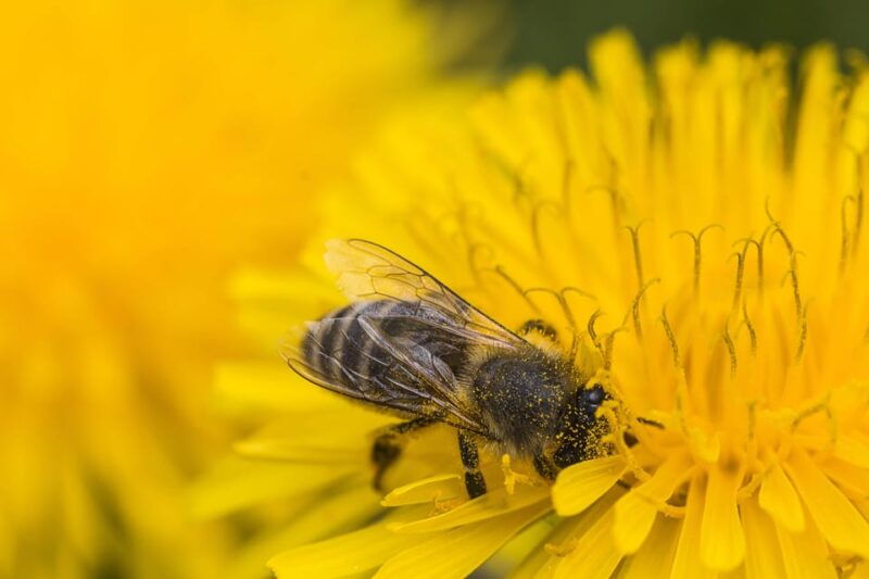 authentic-slovenia-a-mystery-travel-day-tour