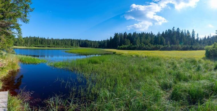 authentic-slovenia-a-mystery-travel-day-tour