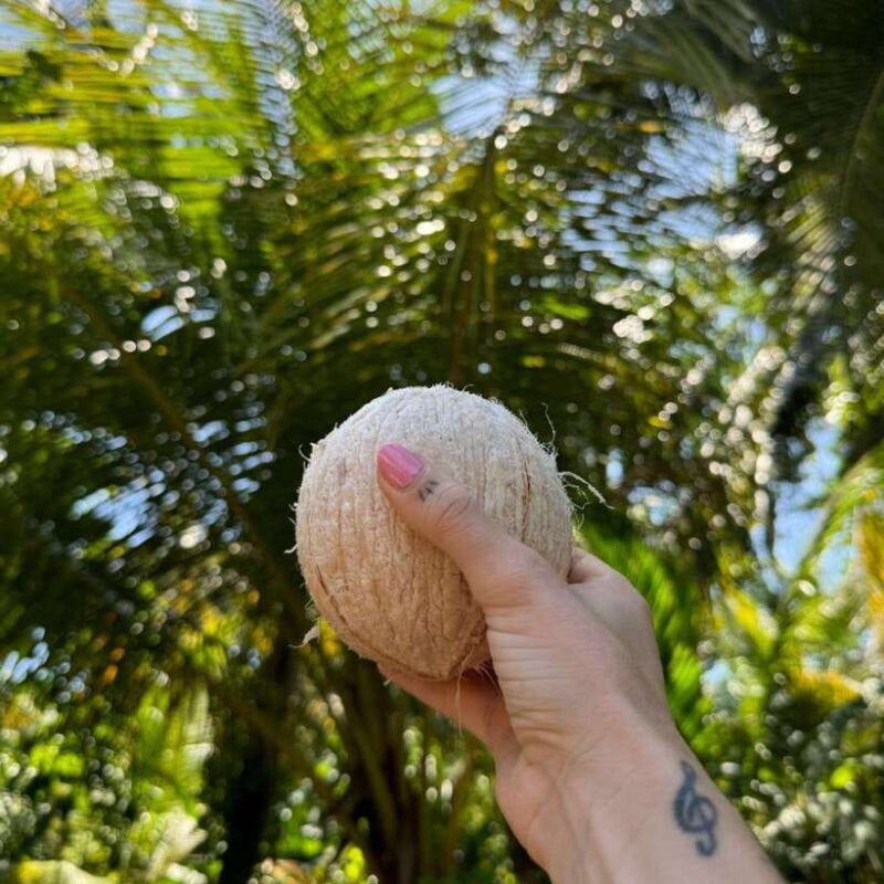 authentic-sri-lankan-village-experience-with-local-family