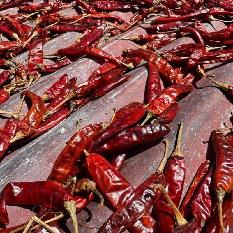 authentic-sri-lankan-village-experience-with-local-family