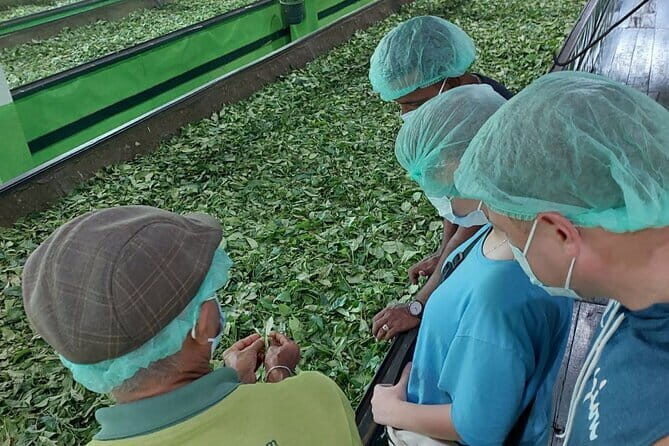 Authentic Sri Lankan Villages Private Guided Tour with Lunch - Key Points