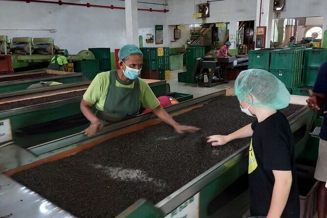 Authentic Sri Lankan Villages Private Guided Tour with Lunch - Final Thoughts: Who Is This Tour Best For?