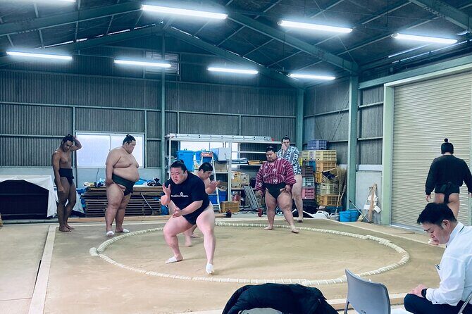 Authentic Sumo Stable Morning Training Experience Osaka - Exploring the Journey to the Stable