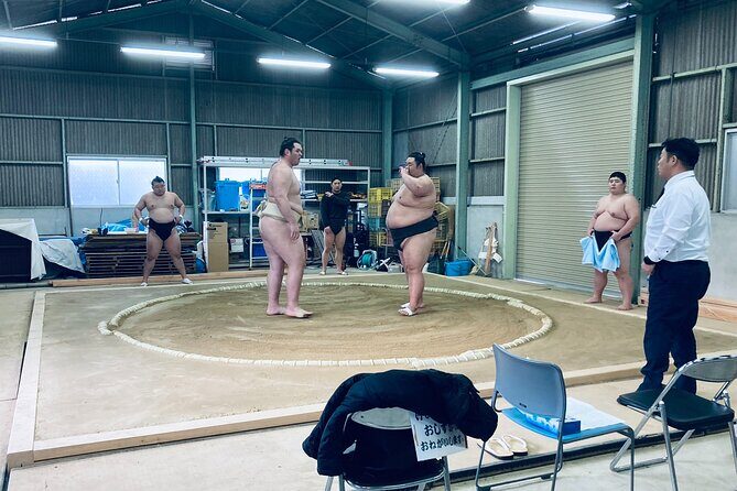 Authentic Sumo Stable Morning Training Experience Osaka - Why This Tour Stands Out